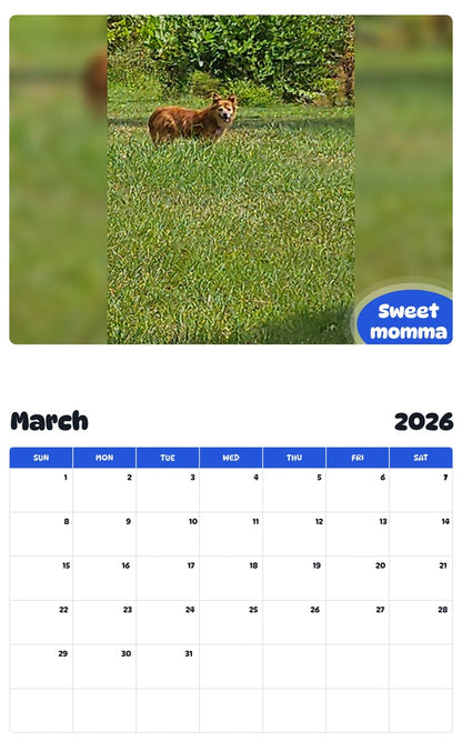 November 2025 - October 2026 Sweet momma - Pawidols Pet Calendar