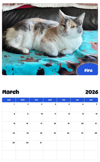 November 2025 - October 2026 Fire - Pawidols Pet Calendar