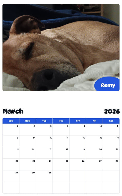 November 2025 - October 2026 Remy - Pawidols Pet Calendar