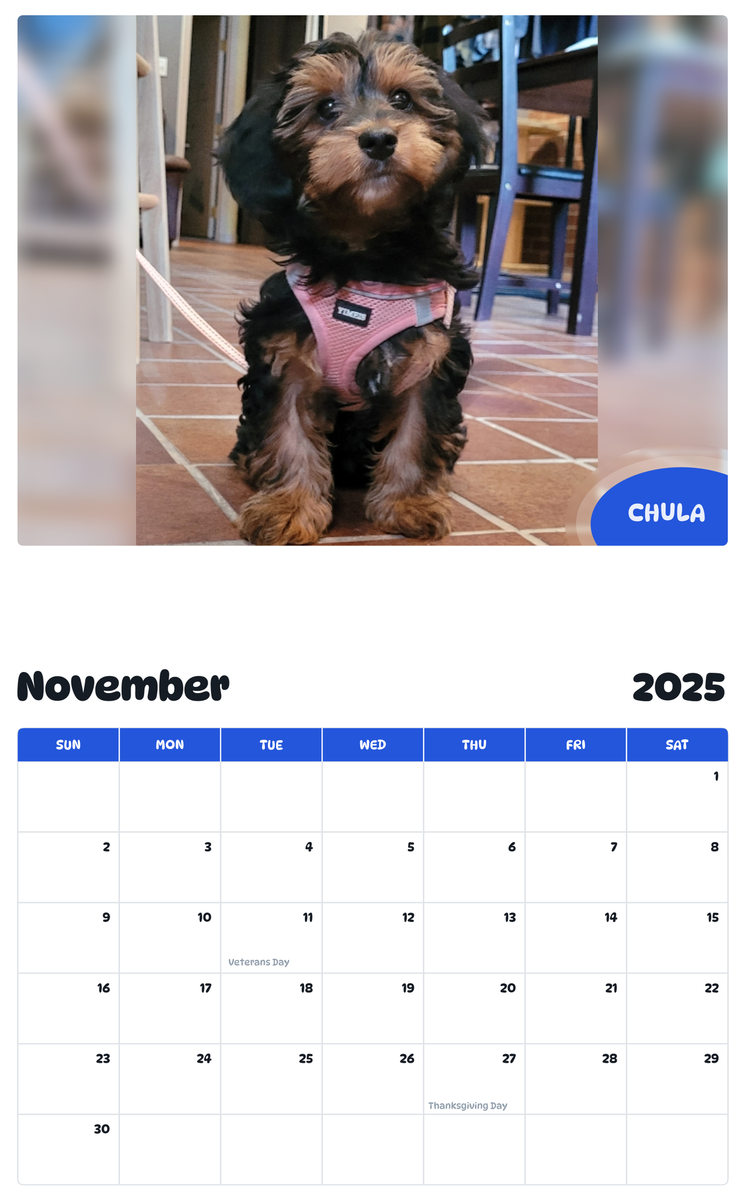 July 2025 - June 2026 Chula - Pawidols Pet Calendar