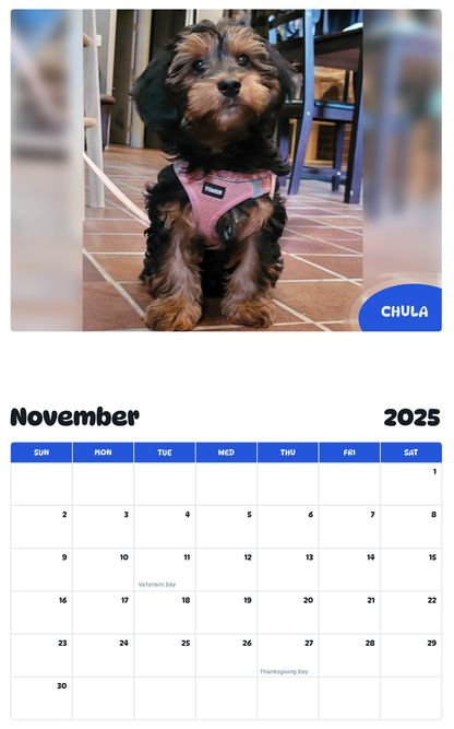 July 2025 - June 2026 Chula - Pawidols Pet Calendar