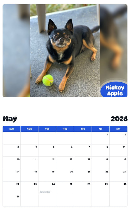 2026 - 2027 Mickey Apple - Pawidols Pet Calendar
