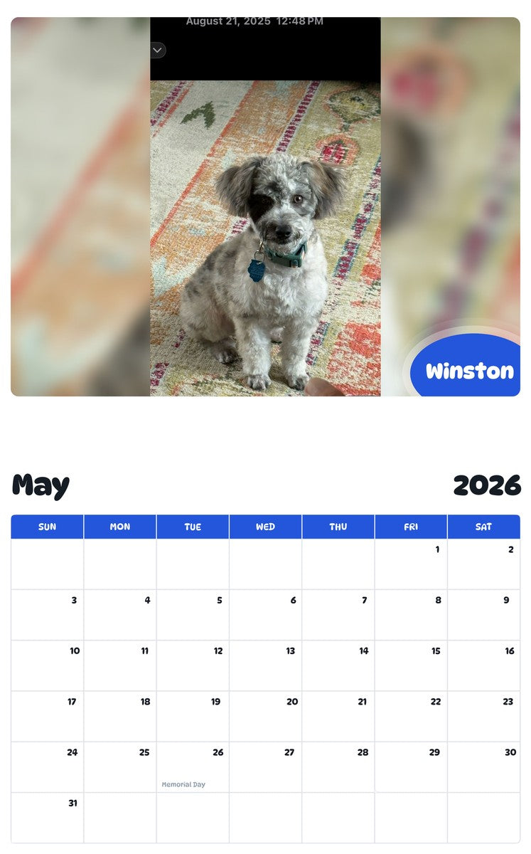 2026 - 2027 Winston - Pawidols Pet Calendar