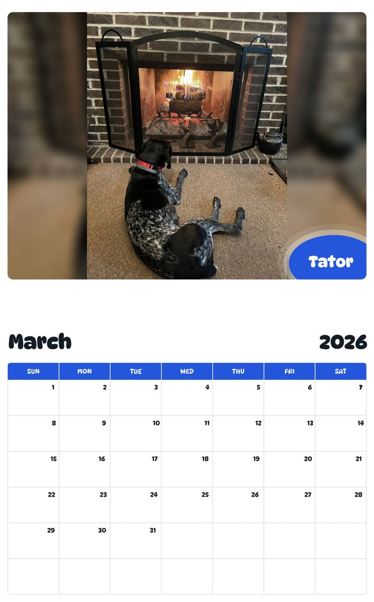 November 2025 - October 2026 Tator - Pawidols Pet Calendar