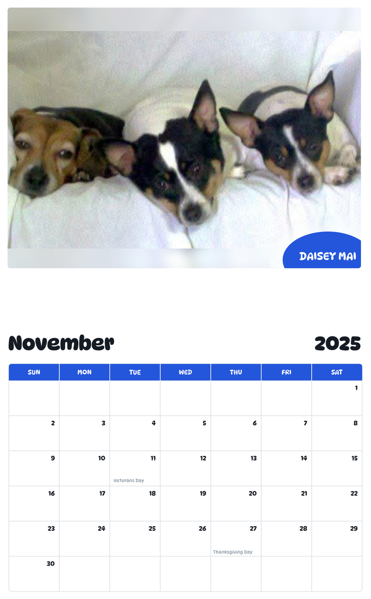 July 2025 - June 2026 Daisey Mai - Pawidols Pet Calendar