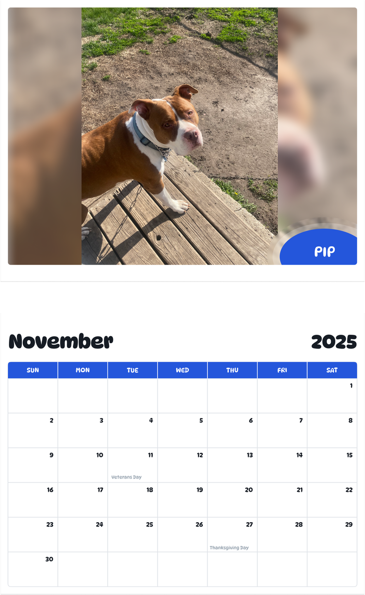 July 2025 - June 2026 Pip - Pawidols Pet Calendar