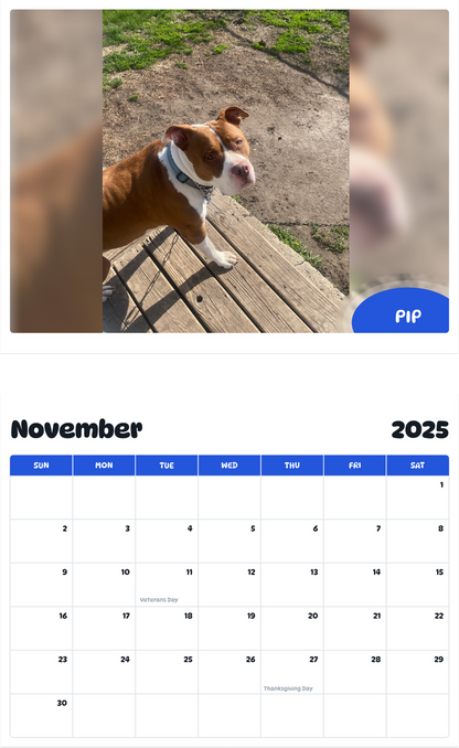 July 2025 - June 2026 Pip - Pawidols Pet Calendar