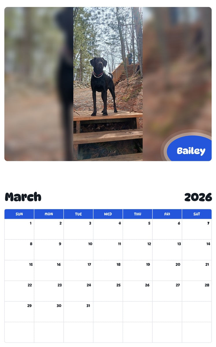 November 2025 - October 2026 Bailey - Pawidols Pet Calendar