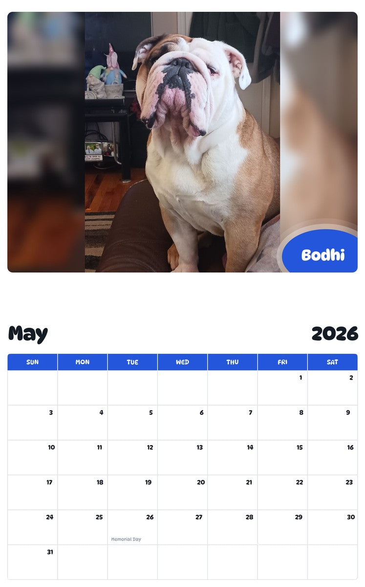 2026 - 2027 Bodhi - Pawidols Pet Calendar