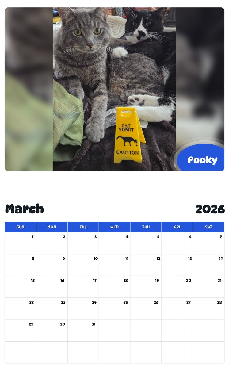 November 2025 - October 2026 Pooky - Pawidols Pet Calendar