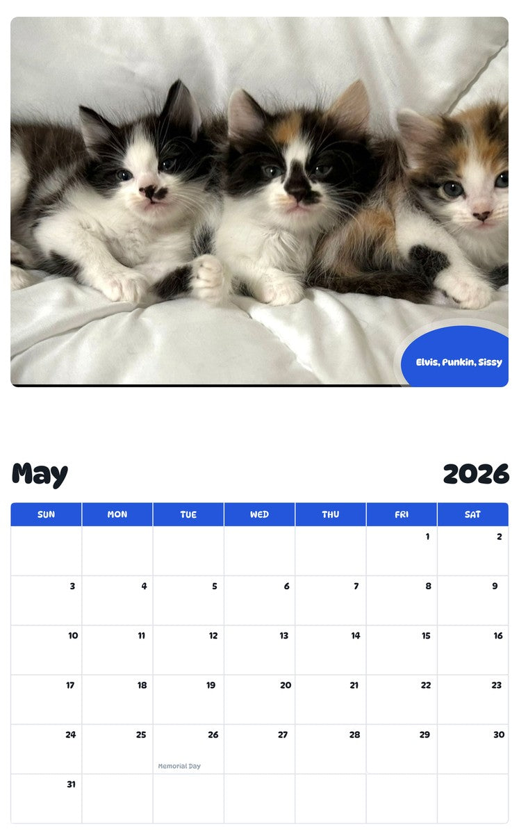 2026 - 2027 Elvis, Punkin, Sissy - Pawidols Pet Calendar