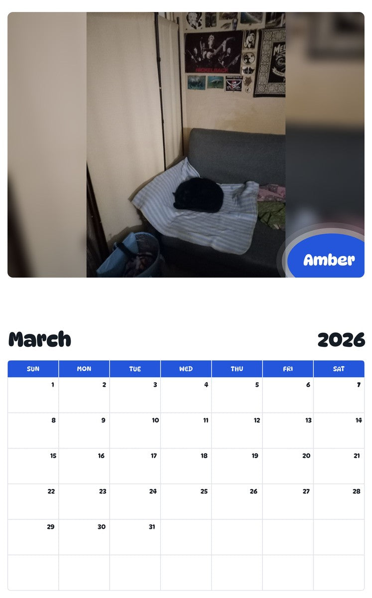 November 2025 - October 2026 Amber - Pawidols Pet Calendar