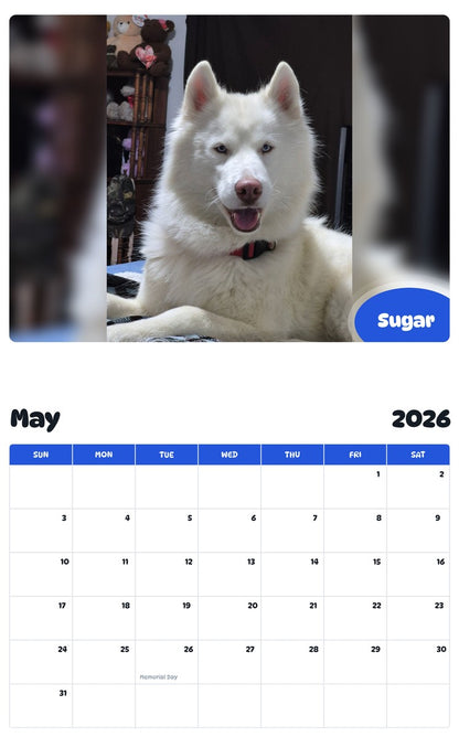 2026 - 2027 Sugar - Pawidols Pet Calendar