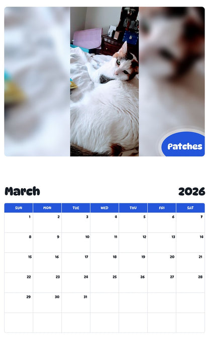 November 2025 - October 2026 Patches - Pawidols Pet Calendar