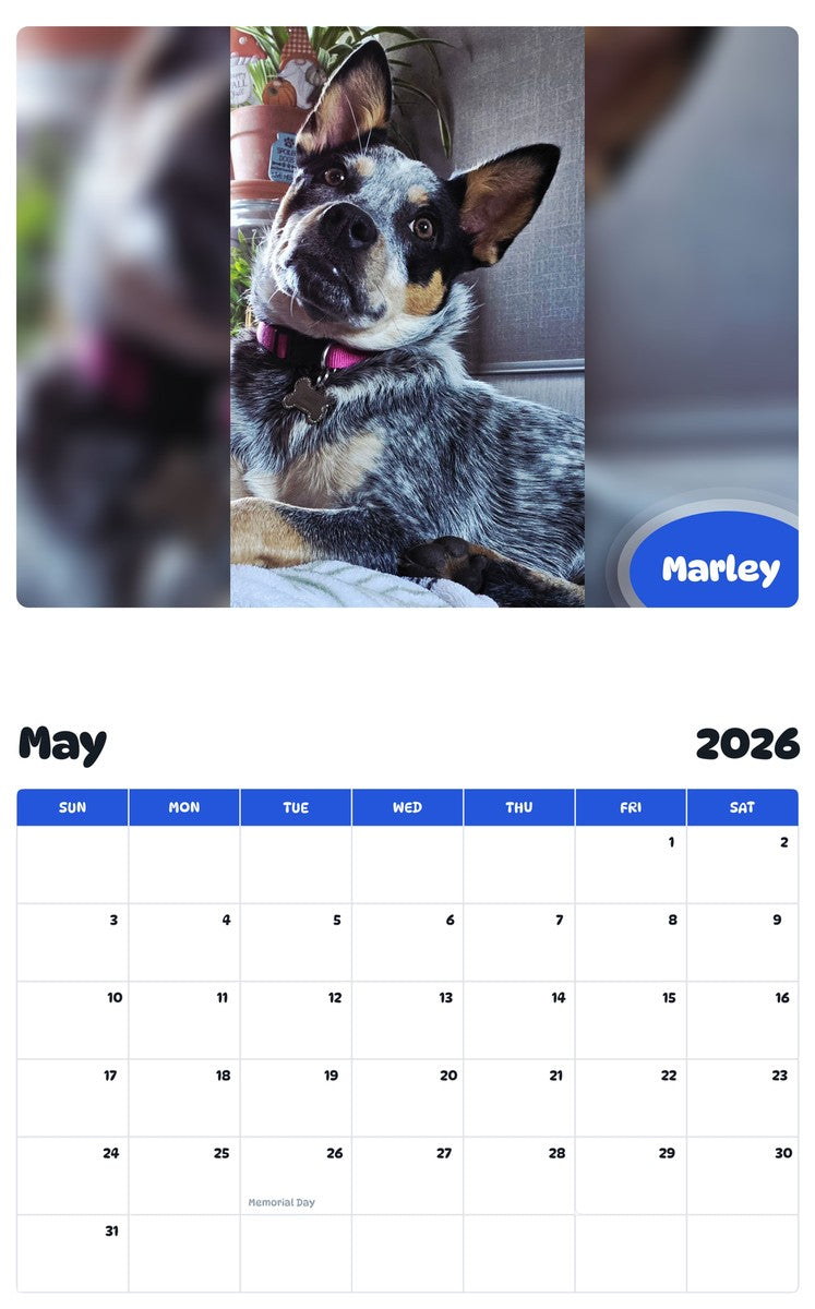 2026 - 2027 Marley - Pawidols Pet Calendar