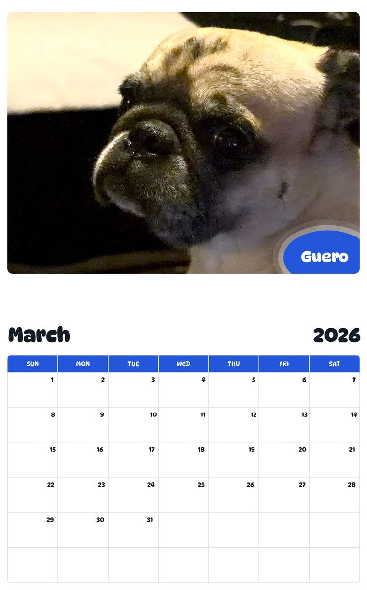 November 2025 - October 2026 Guero - Pawidols Pet Calendar