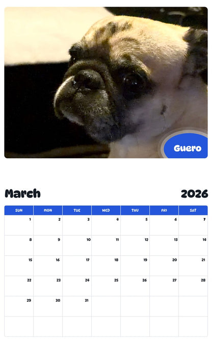 November 2025 - October 2026 Guero - Pawidols Pet Calendar