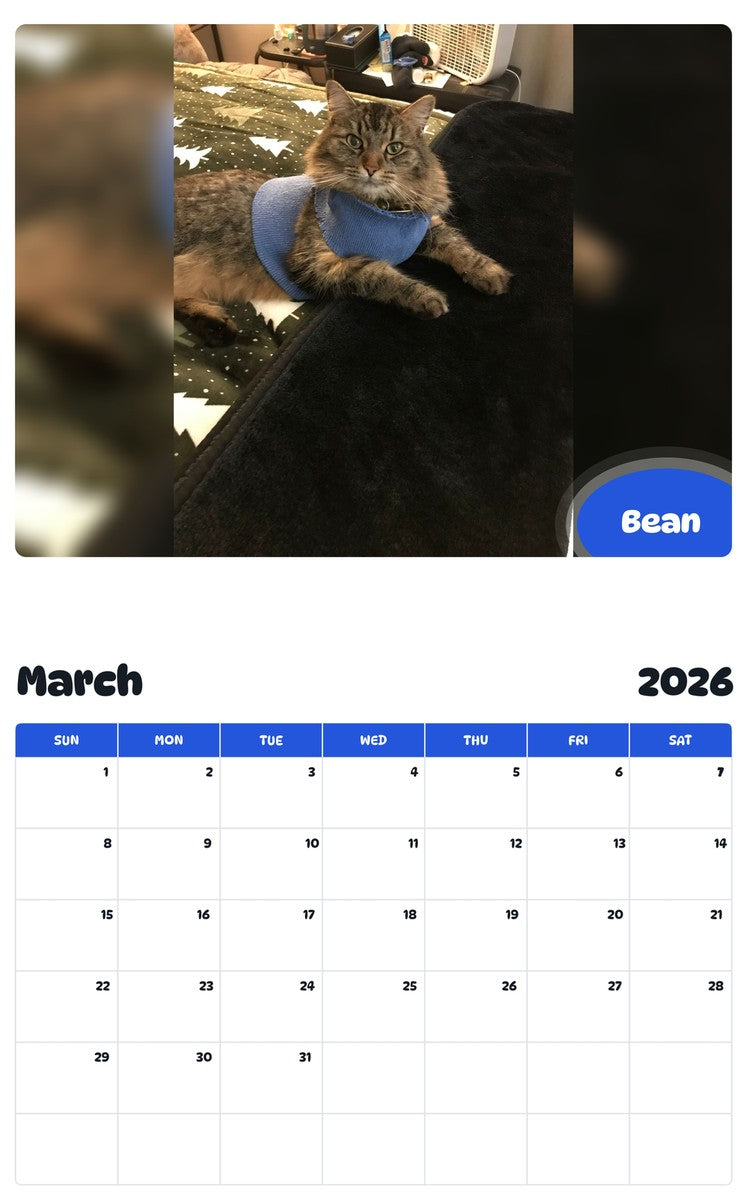 November 2025 - October 2026 Bean - Pawidols Pet Calendar