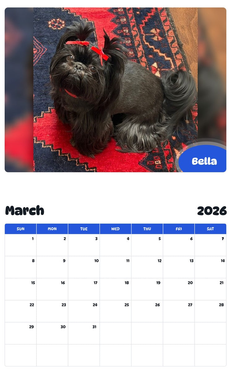 November 2025 - October 2026 Bella - Pawidols Pet Calendar