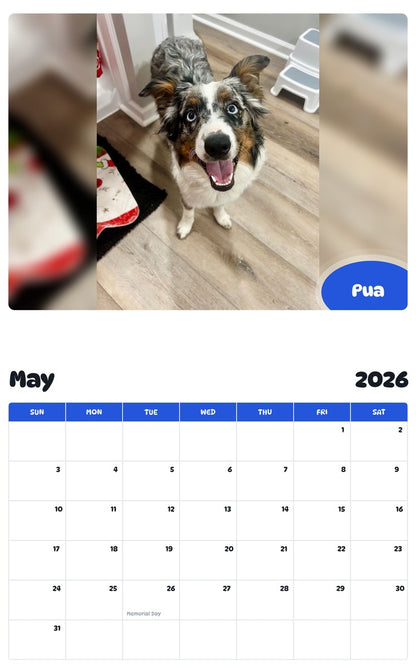 2026 - 2027 Pua - Pawidols Pet Calendar