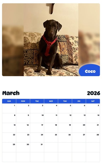 November 2025 - October 2026 Coco - Pawidols Pet Calendar