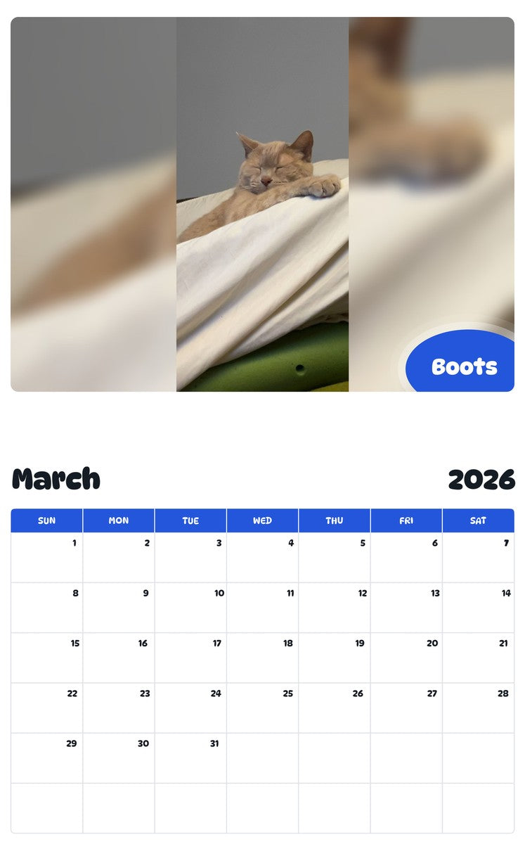 November 2025 - October 2026 Boots - Pawidols Pet Calendar