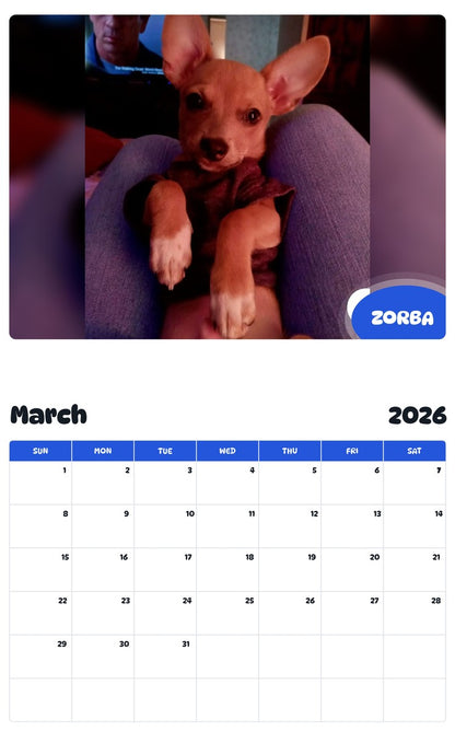 November 2025 - October 2026 ZORBA - Pawidols Pet Calendar