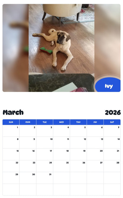 November 2025 - October 2026 Ivy - Pawidols Pet Calendar