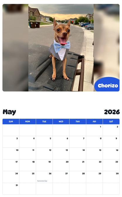 2026 - 2027 Chorizo - Pawidols Pet Calendar