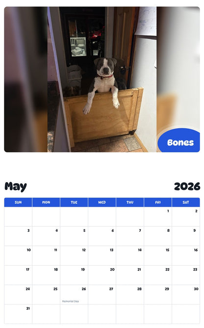2026 - 2027 Bones - Pawidols Pet Calendar