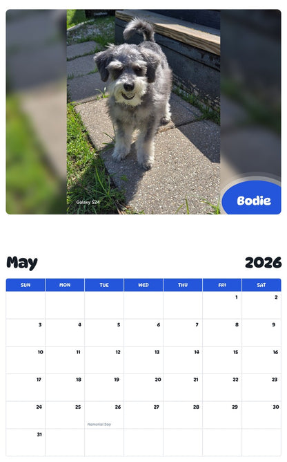 2026 - 2027 Bodie - Pawidols Pet Calendar