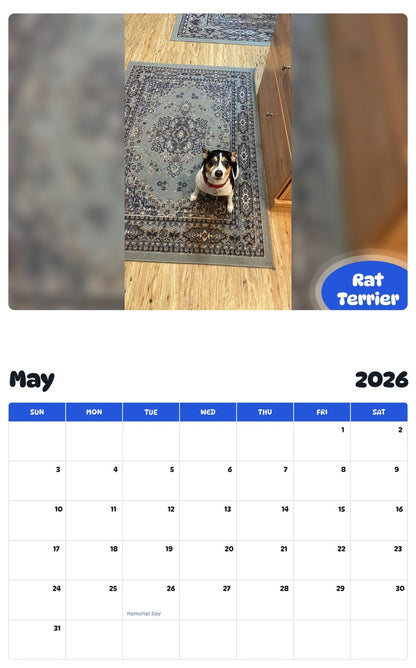 2026 - 2027 Rat Terrier - Pawidols Pet Calendar