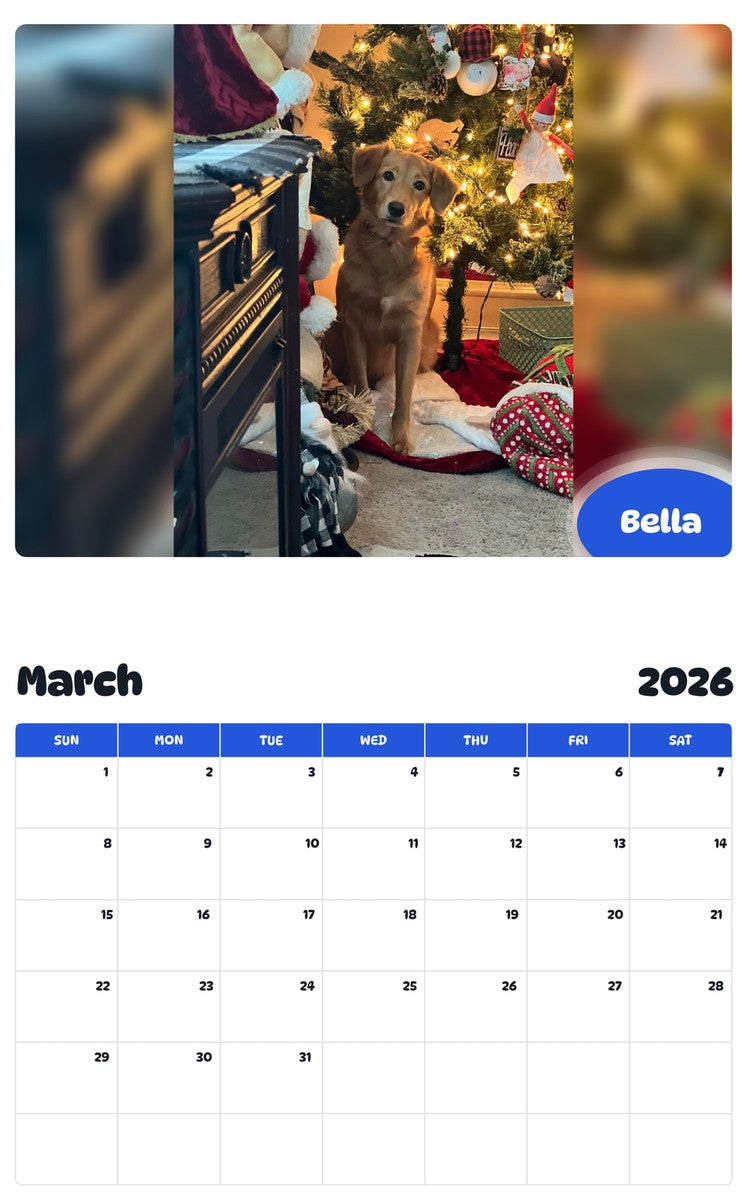 November 2025 - October 2026 Bella - Pawidols Pet Calendar