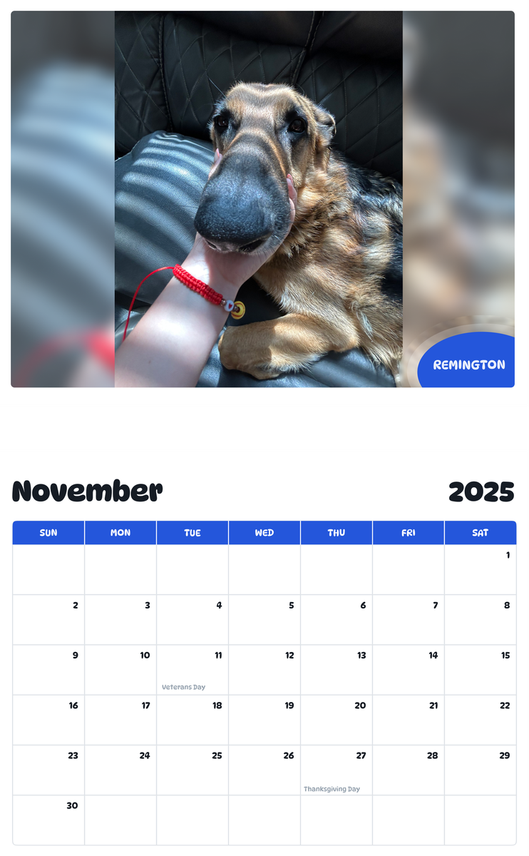 July 2025 - June 2026 Remington - Pawidols Pet Calendar