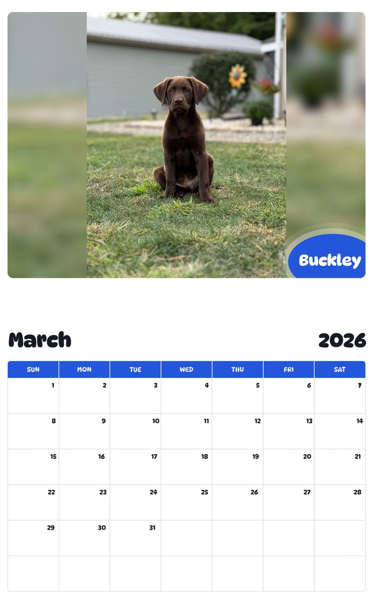 November 2025 - October 2026 Buckley - Pawidols Pet Calendar