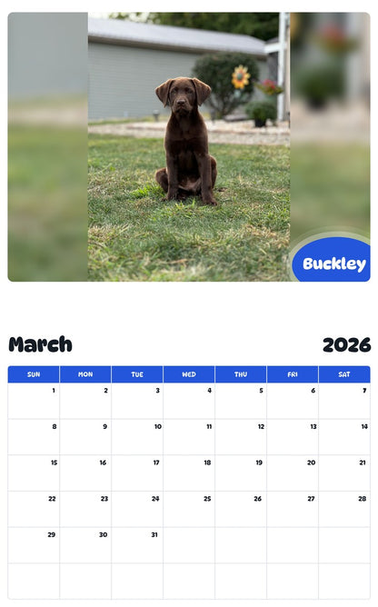 November 2025 - October 2026 Buckley - Pawidols Pet Calendar