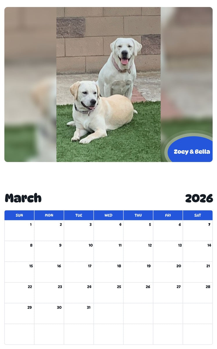 November 2025 - October 2026 Zoey & Bella - Pawidols Pet Calendar