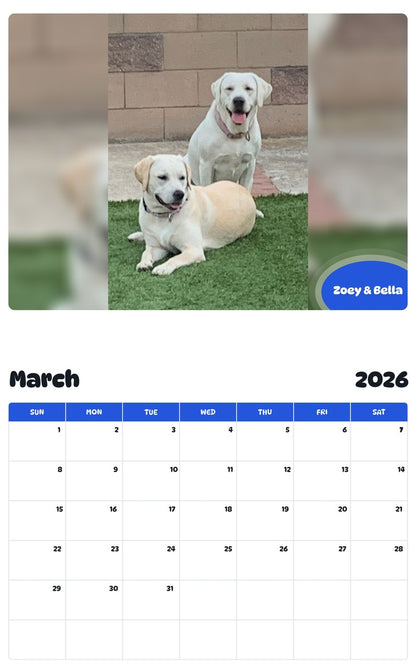 November 2025 - October 2026 Zoey & Bella - Pawidols Pet Calendar