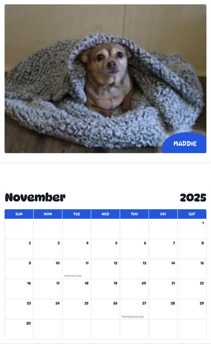 July 2025 - June 2026 Maddie - Pawidols Pet Calendar