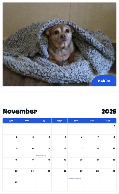 July 2025 - June 2026 Maddie - Pawidols Pet Calendar