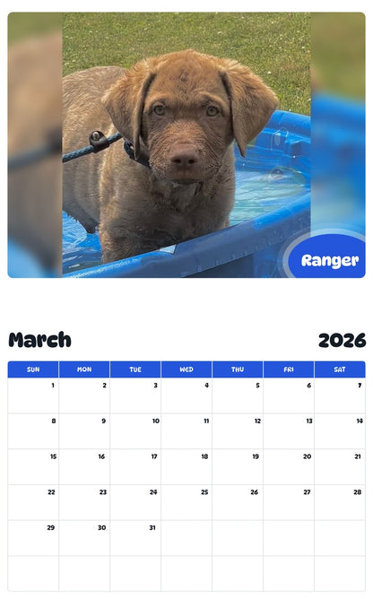 November 2025 - October 2026 Ranger - Pawidols Pet Calendar
