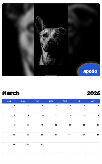 November 2025 - October 2026 Apollo - Pawidols Pet Calendar