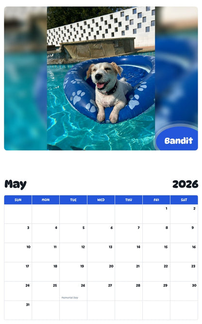 2026 - 2027 Bandit - Pawidols Pet Calendar