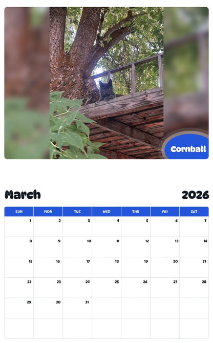 November 2025 - October 2026 Cornball - Pawidols Pet Calendar