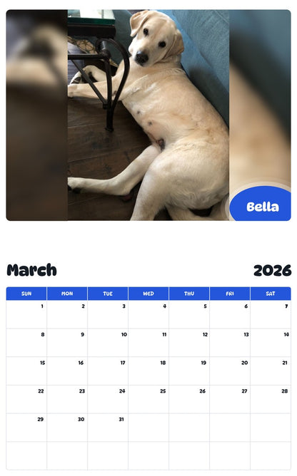 November 2025 - October 2026 Bella - Pawidols Pet Calendar