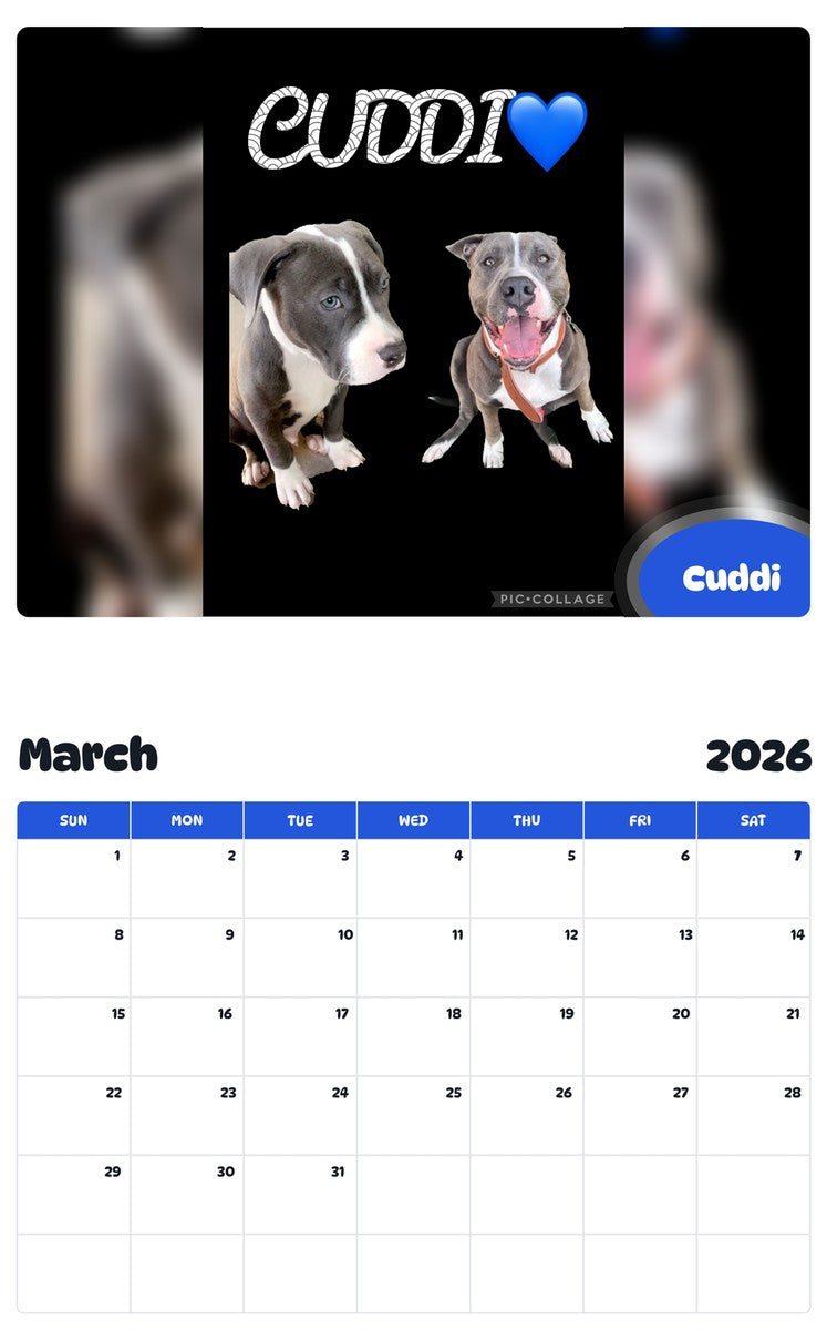 November 2025 - October 2026 Cuddi - Pawidols Pet Calendar
