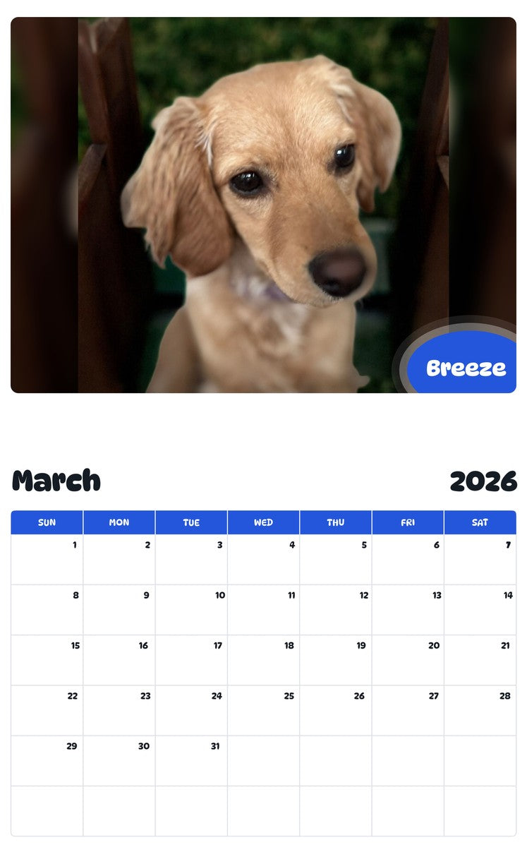 November 2025 - October 2026 Breeze - Pawidols Pet Calendar