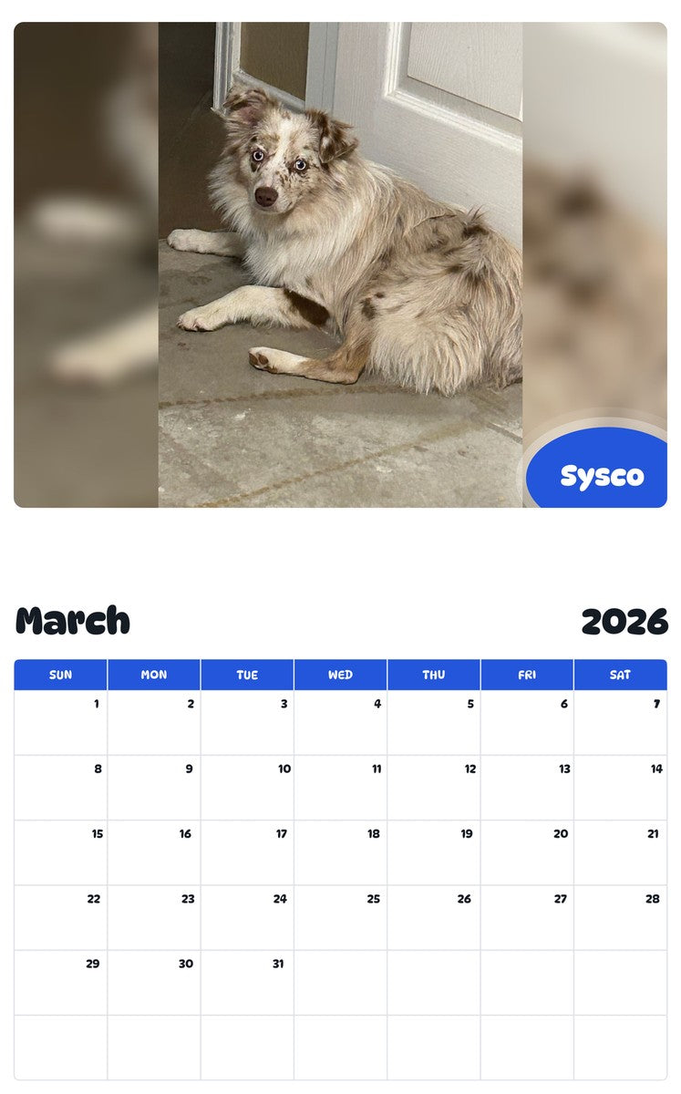 November 2025 - October 2026 Sysco - Pawidols Pet Calendar