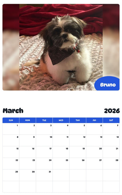 November 2025 - October 2026 Bruno - Pawidols Pet Calendar