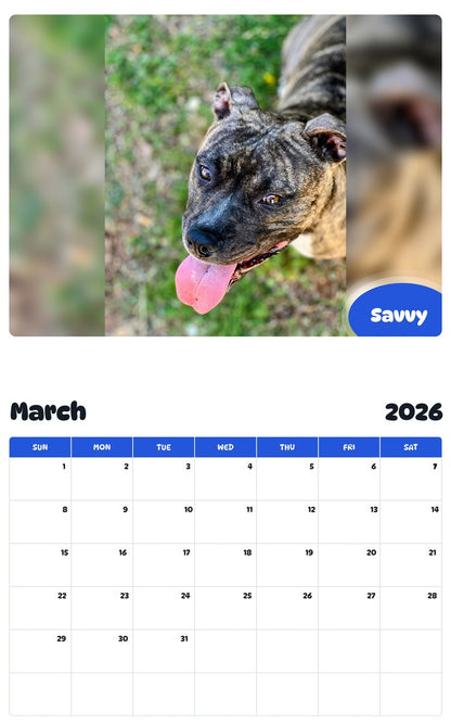 November 2025 - October 2026 Savvy - Pawidols Pet Calendar